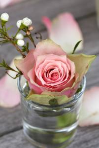 FMF_Hochzeit_034